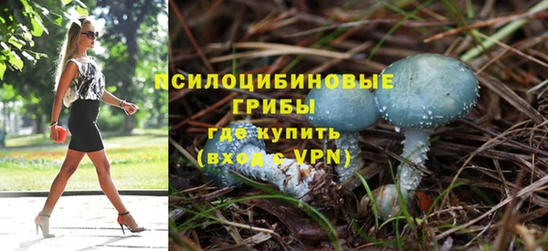 гидра Алзамай
