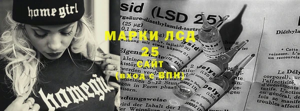 гидра Алзамай