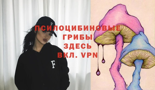 дживик Алексин